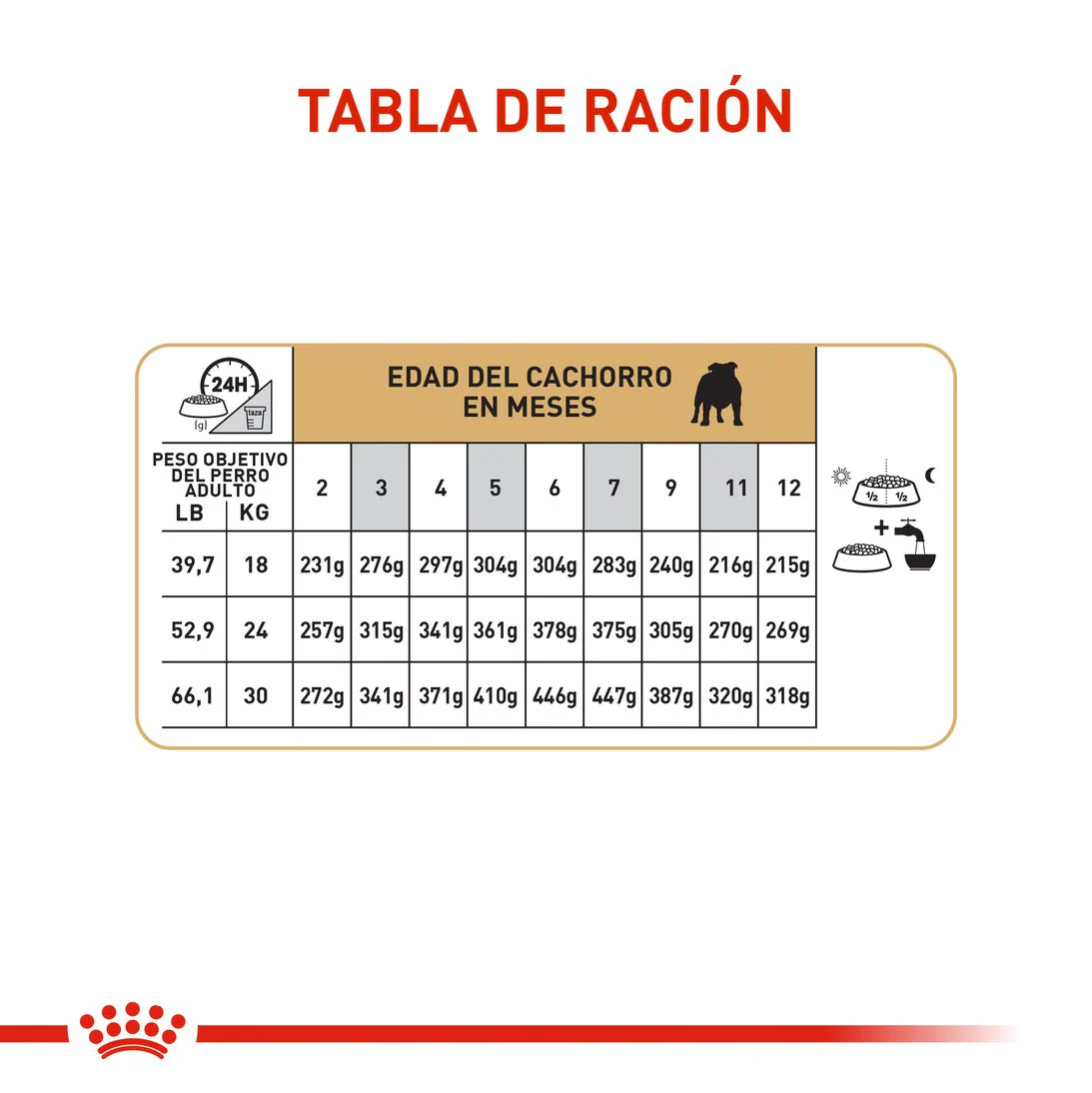 Imagen del producto 7